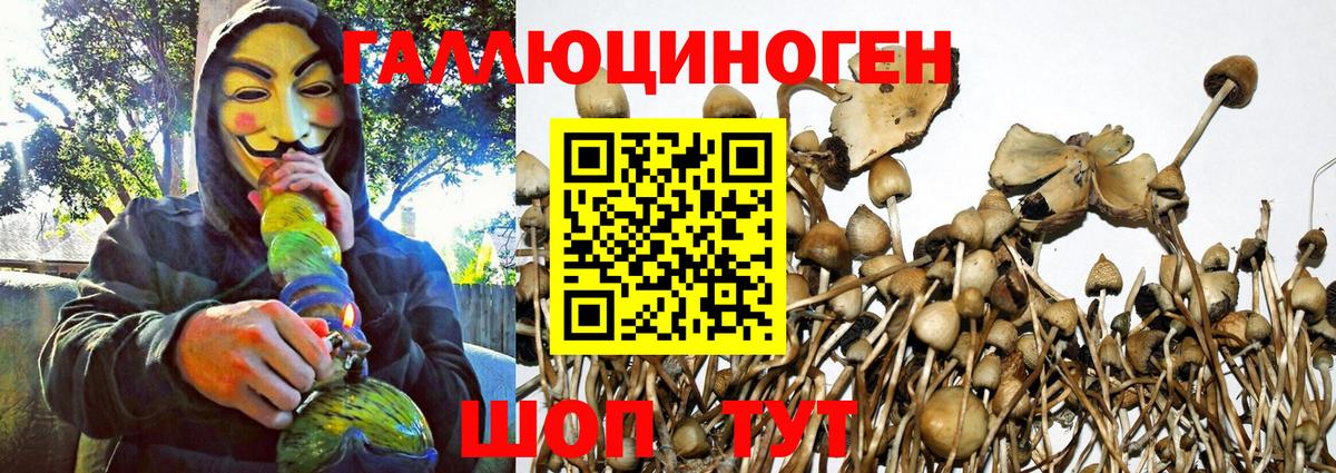 Псилоцибиновые грибы мицелий Шали